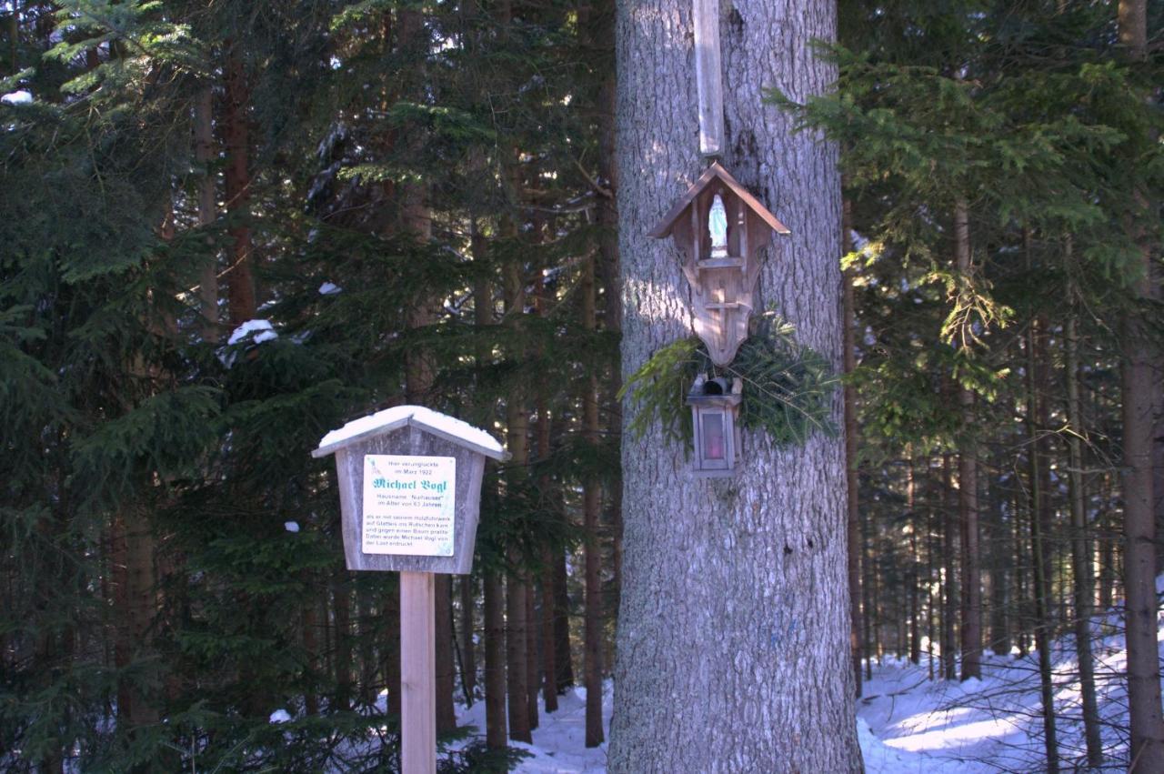 Erlebnispension Zum Wanderer Sepp Arnbruck Exterior photo